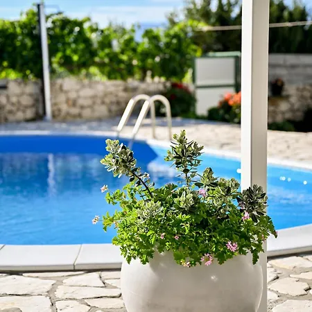 House Diadora Ražanac